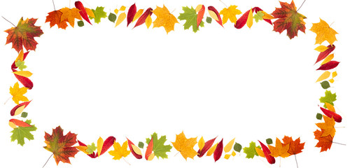 Autumn frame made of autumn leaves on white background. Autumn composition. Leaves falling. Autumn background long format with copy space, top view