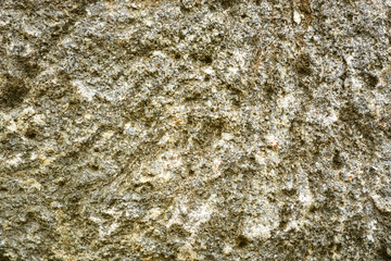 Beautiful vintage background. Abstract grunge decorative stucco wall texture. Wide rough background with copy space for text.