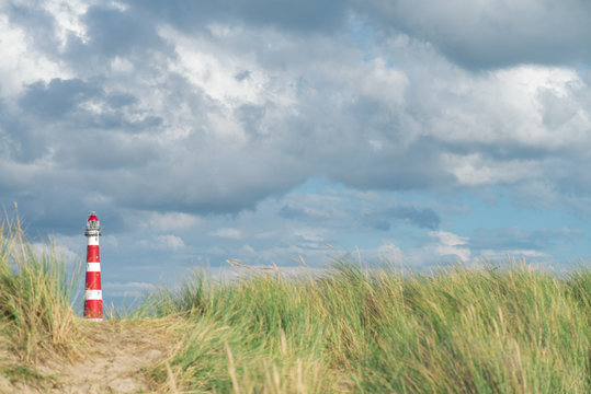 Lighthouse Bornrif Ameland, sea landscape, blue cloudy sky in the dunes, high dune grass, the Netherlands