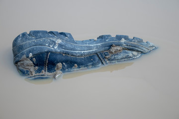 A shoe in the water.