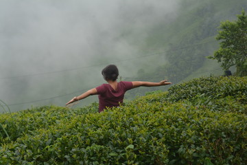 Enjoying the view tea garden