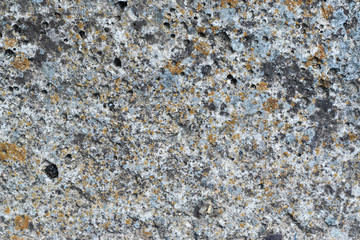 Background in the form of a gray concrete surface with a characteristic structure