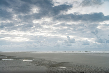 amazon, animal, background, beach, beautiful, beauty, cloud, dusk, equine, female, friendship, gallop, galloping, girl, happy, healthy, horse, horseback, landscape, lifestyle, mare, nature, ocean, out