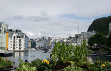 Fototapeta premium incredible summer travels in Norway