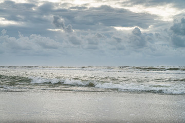 amazon, animal, background, beach, beautiful, beauty, cloud, dusk, equine, female, friendship, gallop, galloping, girl, happy, healthy, horse, horseback, landscape, lifestyle, mare, nature, ocean, out