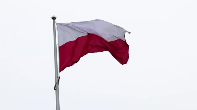 Bandiera Polacca sventola 