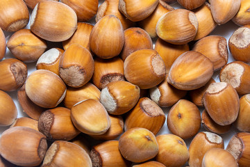 Hazelnut. Natural background. Hazelnuts texture. The concept of a healthy diet and diet.