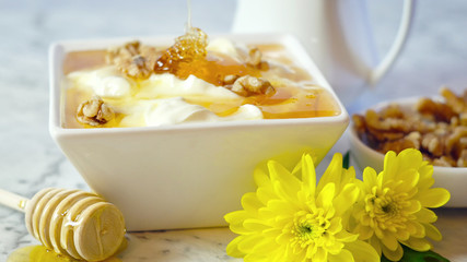 Creamy greek style yoghurt served with honey and walnuts, closeup.