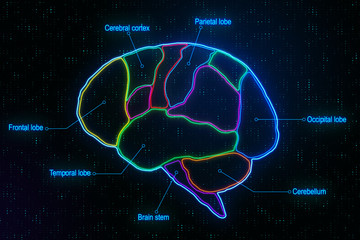 Medical brain research with anatomy of human brain lobes at abstract digital pixels background.