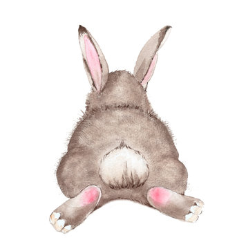 Cute Gray Rabbit Watercolor Painting On White Background