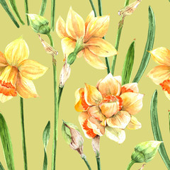 pattern of yellow flowers daffodils on a green background. watercolor drawing