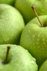 Ripe juicy green apples with drops of water. Close-up.