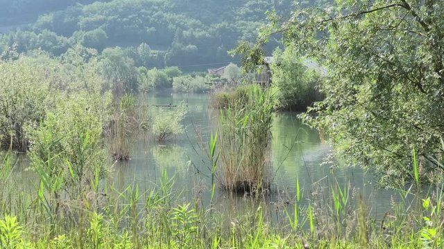 suoni colori del biotopo