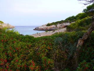 Mallorca Ostküste eine Cala bei Porto Colom