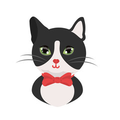 Cat tuxedo black and white cat gentleman with red bow. Kind cat head avatar or print. vector illustration isolated.