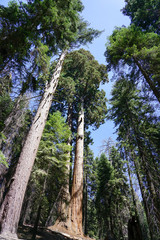 Fototapeta premium The beauty of nature will stay with us for a long time if we help each other to take care.