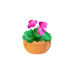 Violet in the pot. Raster illustration in flat cartoon style