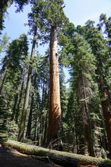 Fototapeta premium The beauty of nature will stay with us for a long time if we help each other to take care.