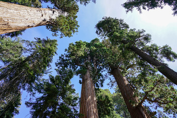 Fototapeta premium The beauty of nature will stay with us for a long time if we help each other to take care.