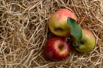 three fresh apples on wood shavings