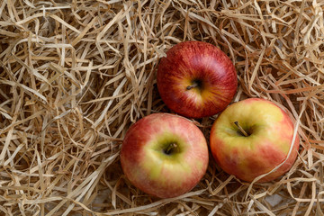 a red Apple and two more on wood shavings