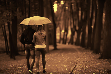 rain in the autumn park / young 25 years old couple man and woman walk under an umbrella in wet rainy weather, walk October lovers