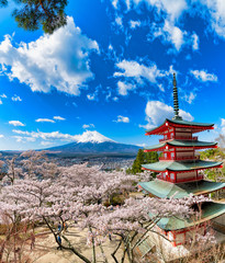 新倉富士浅間神社　満開の桜と富士山