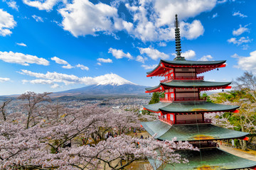 新倉富士浅間神社　満開の桜と富士山