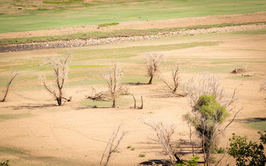 Fototapeta na wymiar A reservoir late in the growing season, drained of water.