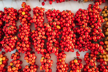 Cherry tomatoes hanging on the wall in the south of Italy