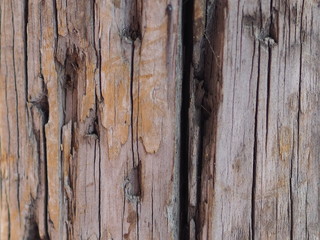 madera vieja con surcos y nudos de color gris