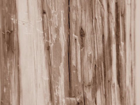 madera carcoma grano viejo surcos