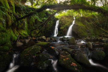Amazing waterfall, hidden deep in a forest, surrounded by fallen trees. Beautiful and pleasant...