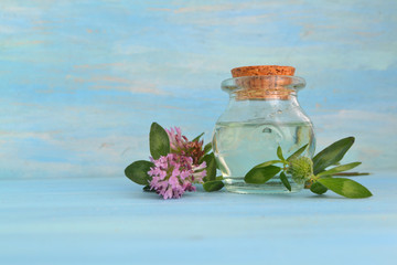 Obraz na płótnie Canvas Essential clover oil and flower on blue wooden background with copy space