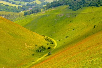 Obraz premium road in the field