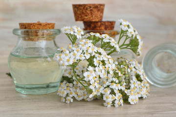 Yarrow (achillea millefolium) and pharmaceutical bottles of essential oil.