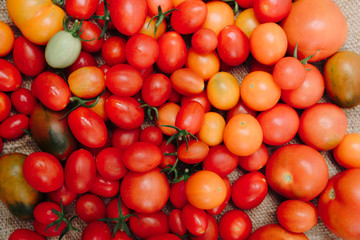 many yellow and red cherry tomatoes on a canvas background