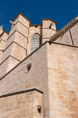 Fototapeta na wymiar view of the Gothic cathedral of Palma de Mallorca