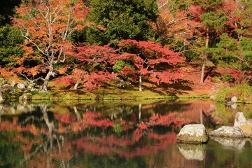 Autumn colours in Arashiyama, Kyoto