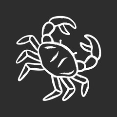 Crab chalk icon. Swimming sea animal with pincers. Zodiac sign. Underwater creature, aquatic animal. Ocean aquarium. Seafood restaurant menu. Delicacy food. Isolated vector chalkboard illustration