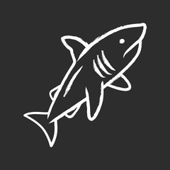 Shark chalk icon. Dangerous ocean predator. Swimming large fish. Underwater aquatic animal, ocean wildlife. Marine fauna. Floating wild shark in aquarium. Isolated vector chalkboard illustration