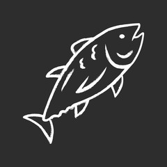 Tuna chalk icon. Swimming marine fish. Underwater inhabitant. Mackerel fishing. Seafood restaurant menu. Floating aquatic animal. Undersea world. Isolated vector chalkboard illustration