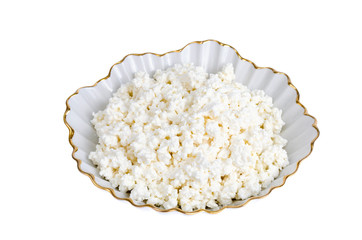 Homemade cottage cheese, dairy products. Studio Photo
