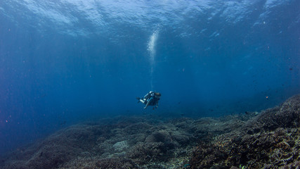 Fototapeta na wymiar Taucherin im Korallenriff