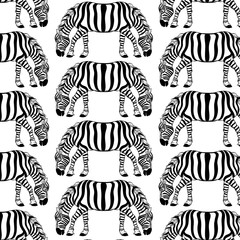 Fototapeta na wymiar Vector pattern with hand drawn illustration of zebra with two heads.