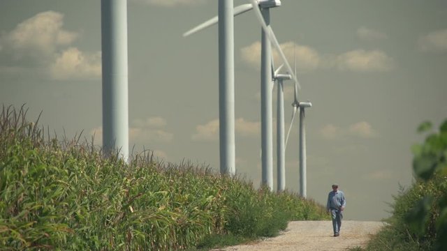 Farmer walking in field near wind turbines