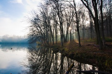Obraz premium early sun rays get through bare tree branches in forest on a lake bank with reflections on still water surface, beautiful early, misty late autumn dawn, attractive active tourism spot