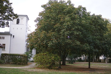 Fototapeta na wymiar Ravensbergerpark Bielefeld
