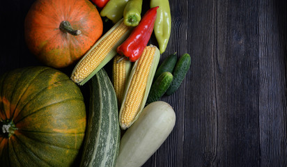 Autumn vegetable background with dark wooden table. Harvest Thanksgiving day. Organic vegetarian products pumpkin, corn, cabbage, pepper. Greeting card, poster, banner concept with copy space for text