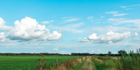 Path between dutch landscapes